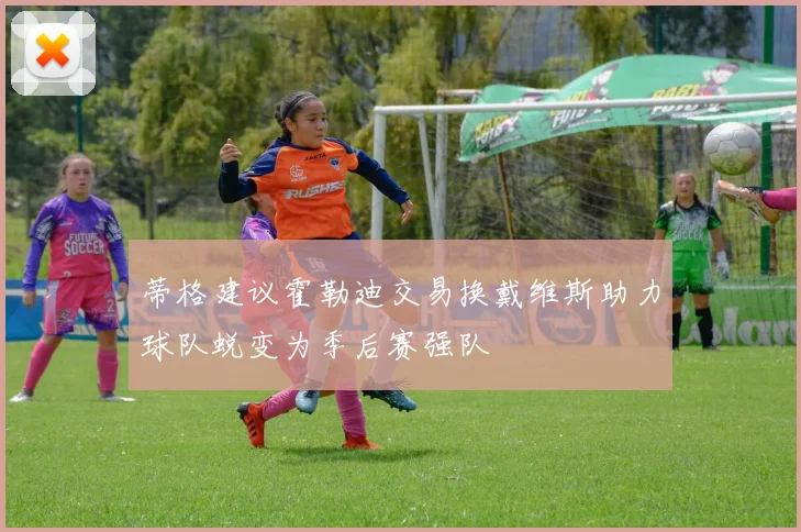 蒂格建议霍勒迪交易换戴维斯助力球队蜕变为季后赛强队