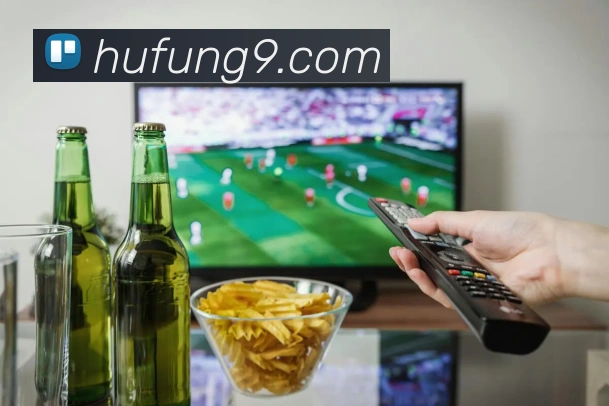 开云kaiyun网页版APP 封面图